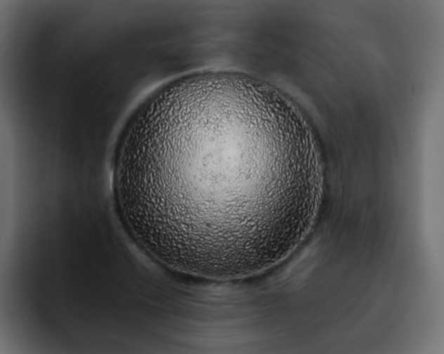 X0000093121416200710031326