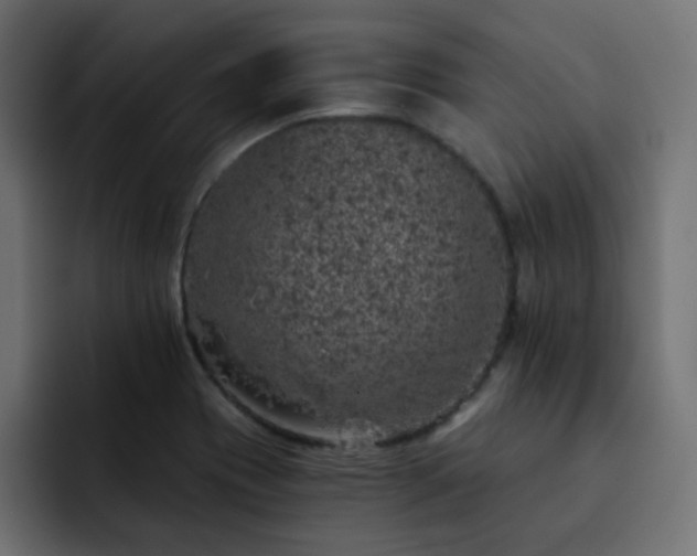 X0000093121417200710031326