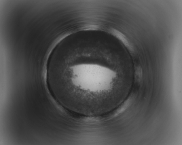 X0000093121418200710031326