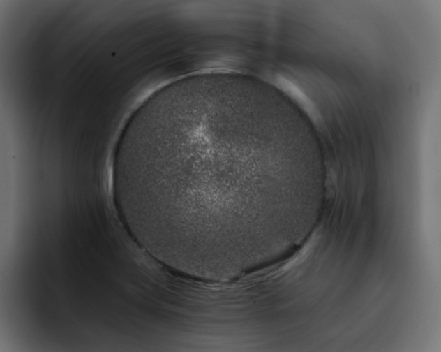 X0000093121419200710031326
