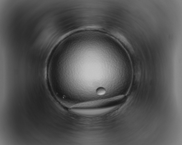 X0000093121420200710031326