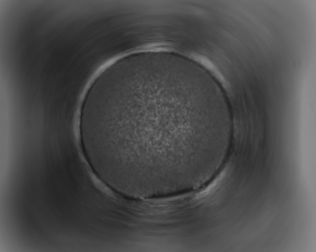 X0000093121421200710031326