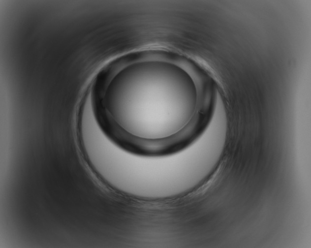 X0000093121422200710031326