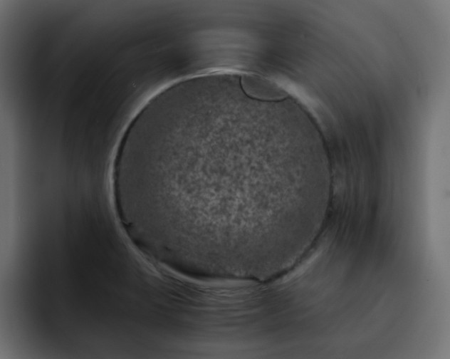 X0000093121423200710031326