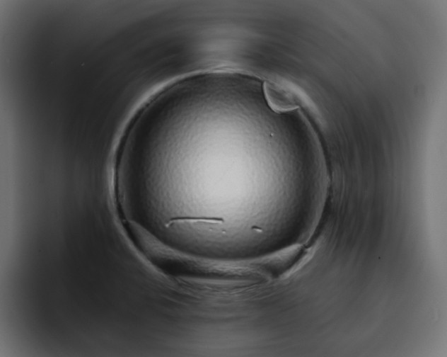 X0000093121424200710031326