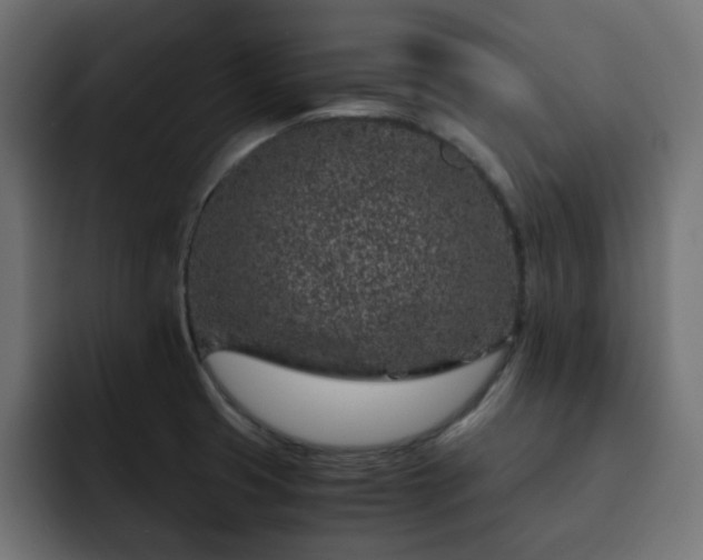 X0000093121425200710031326