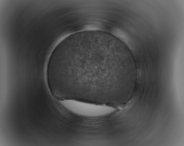X0000093121427200710031326