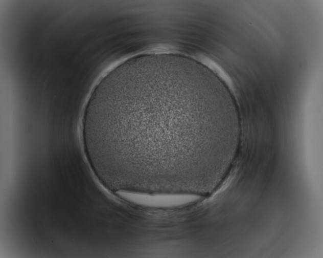 X0000093121429200710031326