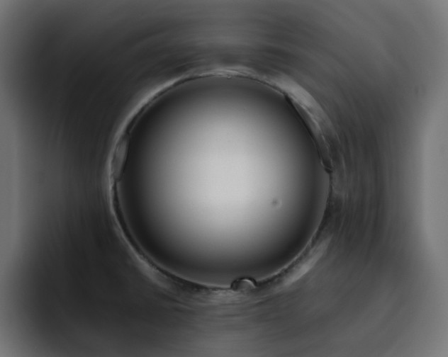 X0000093121430200710031326