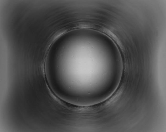 X0000093121433200710031326