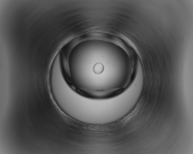 X0000093121434200710031326
