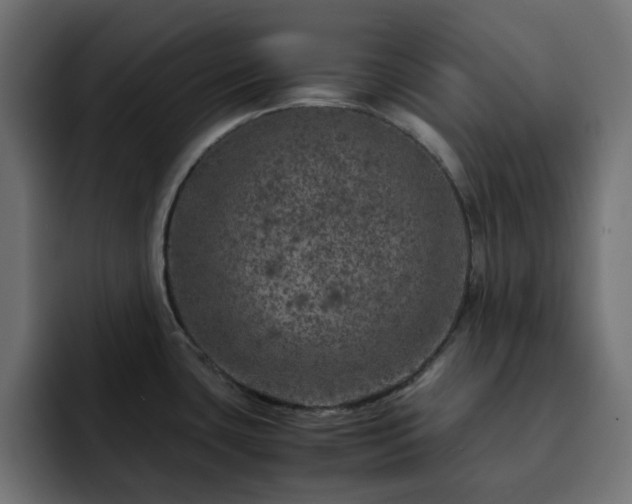 X0000093121435200710031326