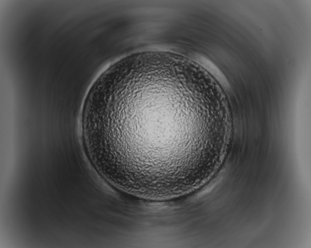 X0000093121436200710031326