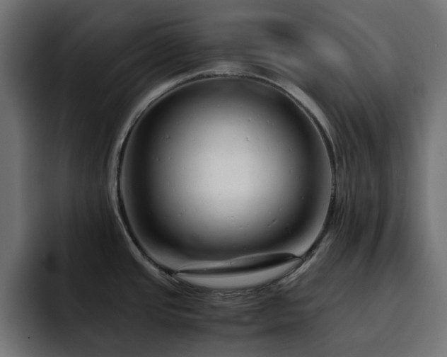 X0000093121437200710031326