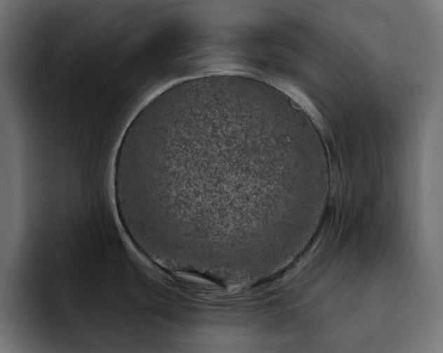 X0000093121439200710031326