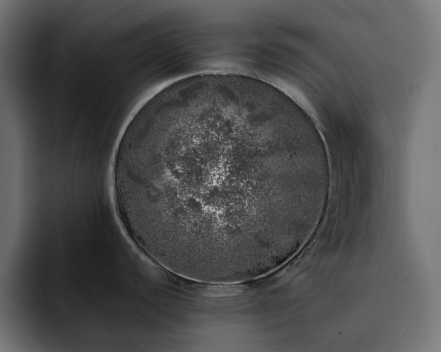 X0000093121440200710031326