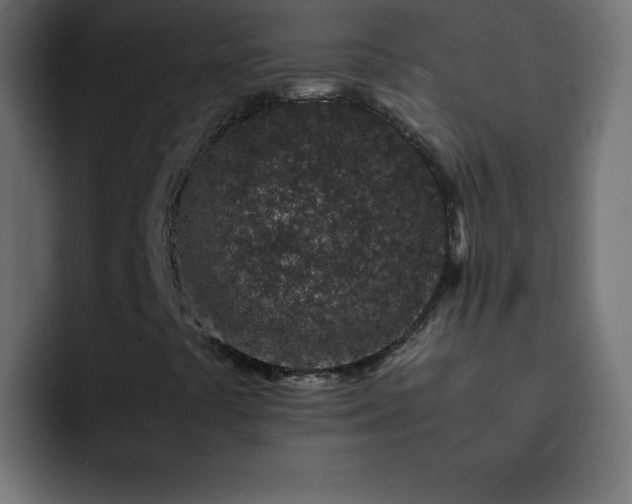 X0000093121441200710031325