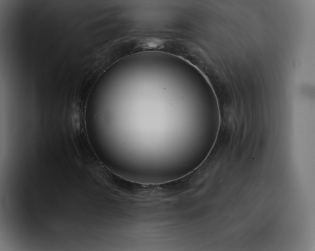 X0000093121442200710031325