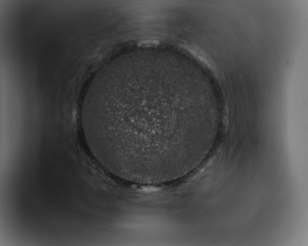 X0000093121445200710031325