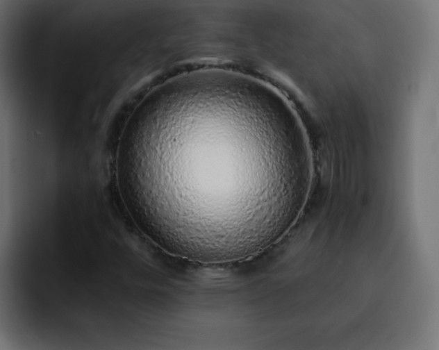 X0000093121448200710031325
