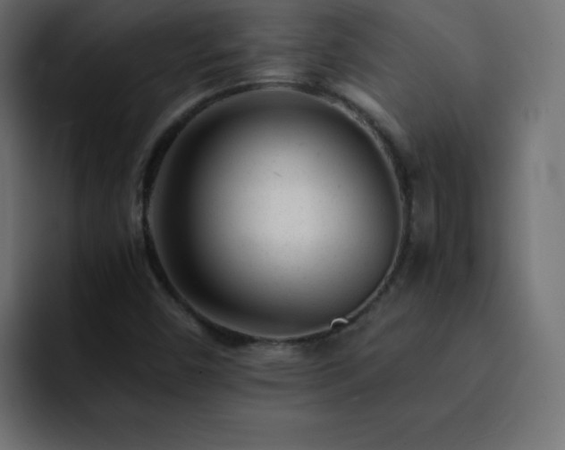 X0000093121450200710031325