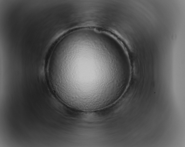 X0000093121452200710031325