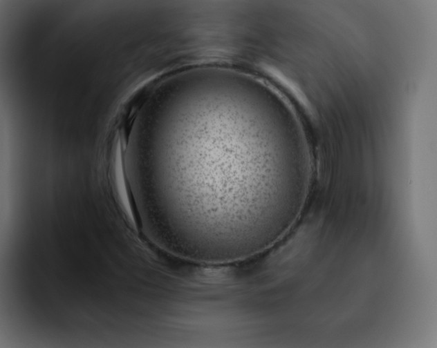 X0000093121453200710031325