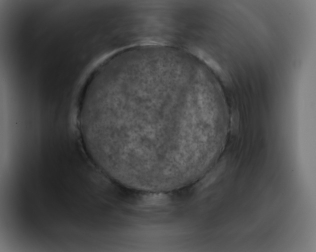 X0000093121454200710031325
