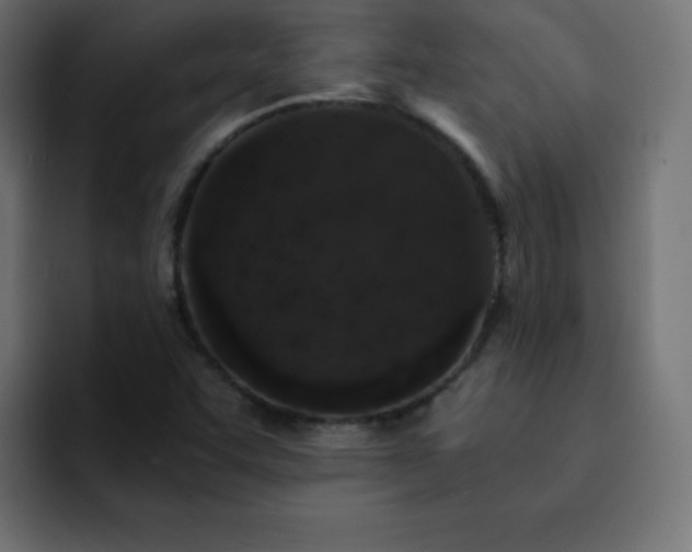 X0000093121455200710031325