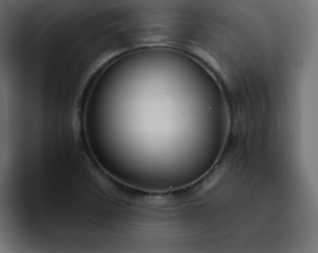 X0000093121458200710031325