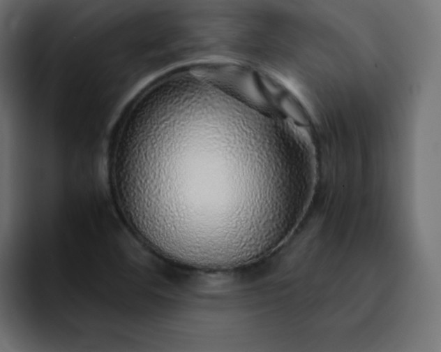 X0000093121460200710031325