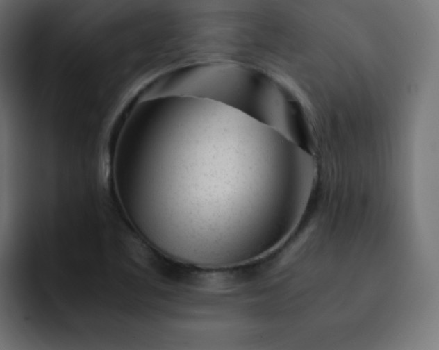 X0000093121461200710031325