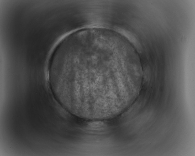 X0000093121462200710031325