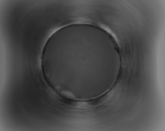 X0000093121463200710031325
