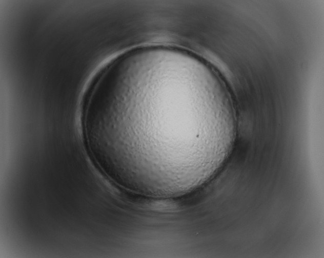 X0000093121464200710031325
