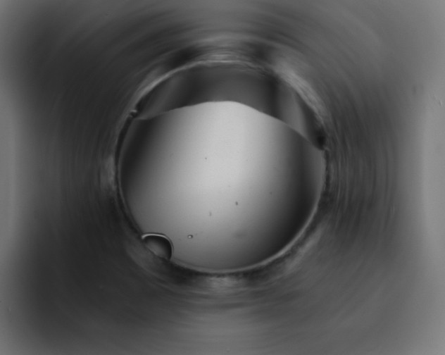 X0000093121465200710031325