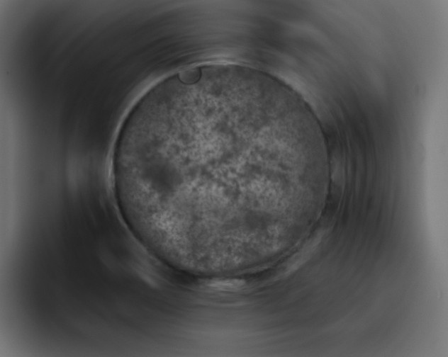 X0000093121466200710031325