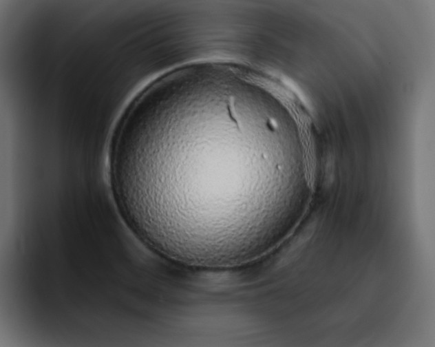 X0000093121468200710031325