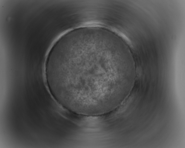 X0000093121470200710031325