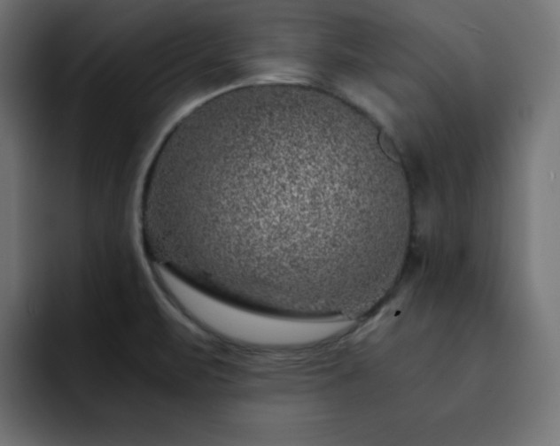 X0000093121471200710031325