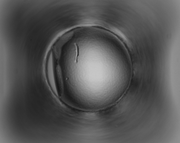 X0000093121472200710031325