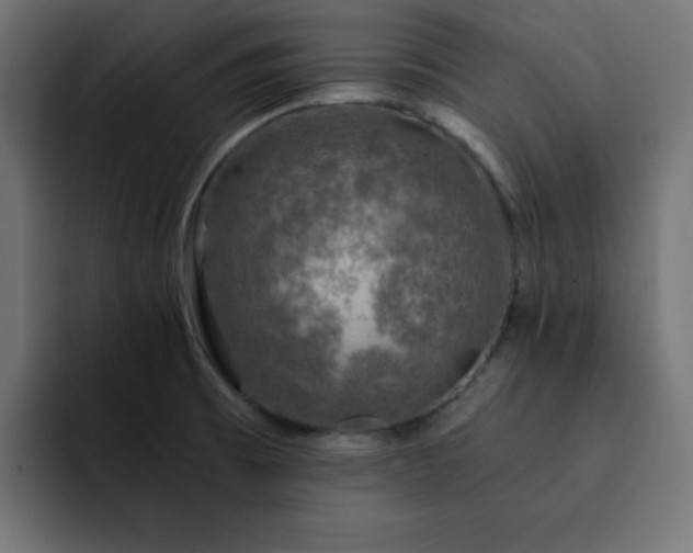 X0000093121473200710031325