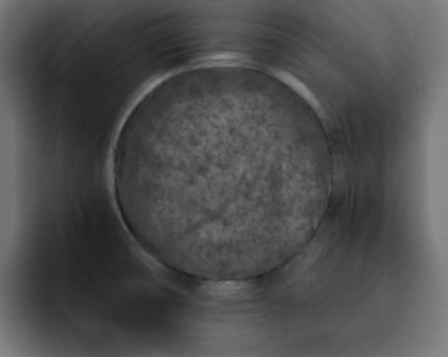 X0000093121474200710031325