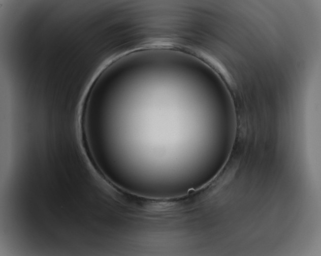 X0000093121475200710031325