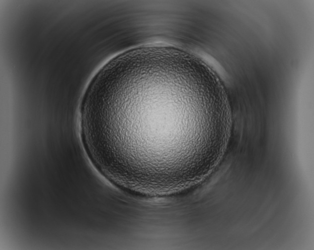 X0000093121476200710031325