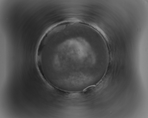 X0000093121477200710031325