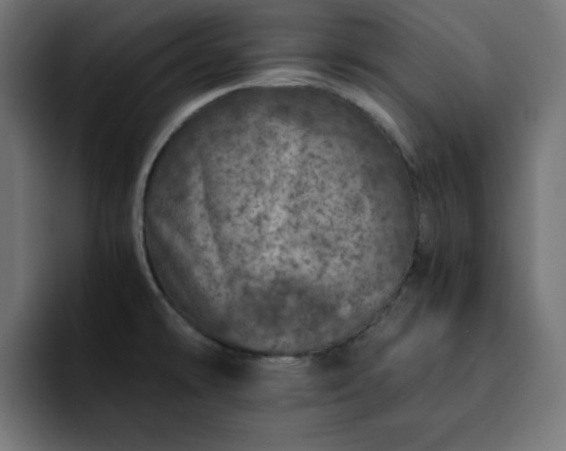 X0000093121478200710031325