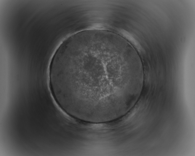 X0000093121479200710031325