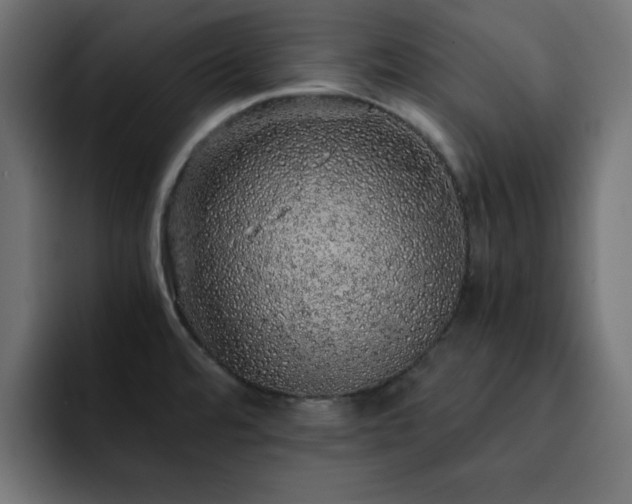 X0000093121480200710031325