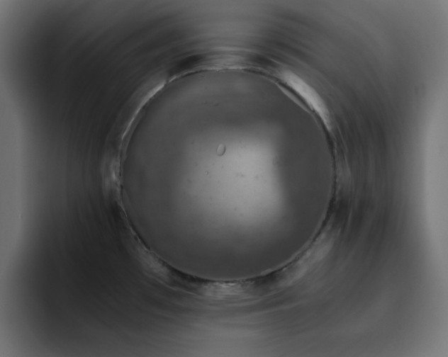 X0000093121481200710031325
